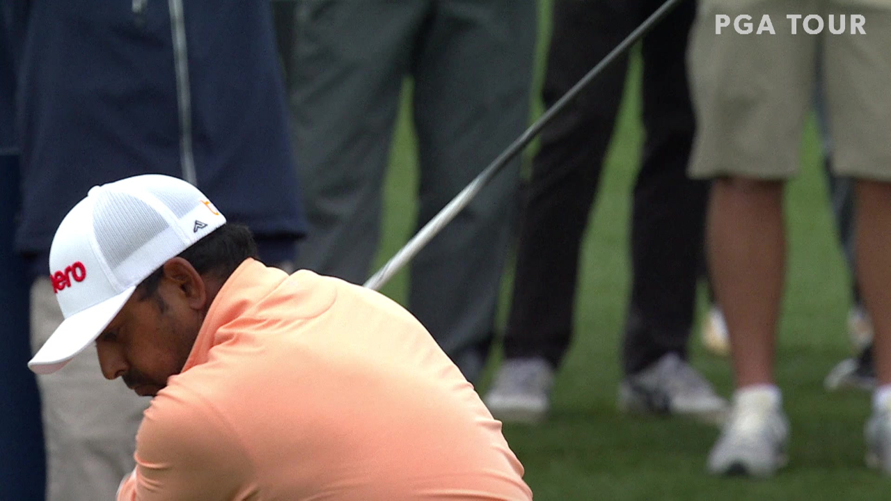 美巡是什么意思