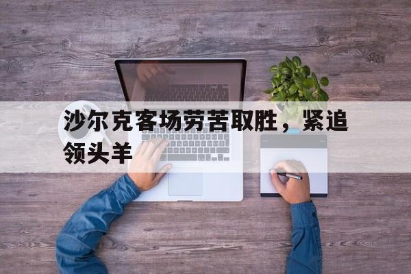 关于沙尔克客场劳苦取胜,紧追领头羊的信息 关于沙尔克客场劳苦取胜,紧追领头羊的信息